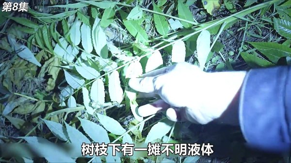 配资一流证券配资门户 年轻人遇上小事引发绝密较量，间接“害死”人，该躺平吗？