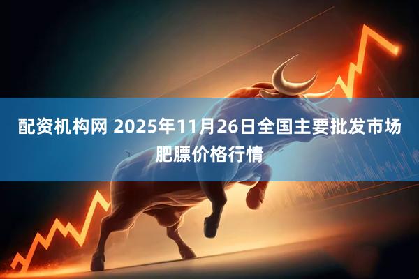 配资机构网 2025年11月26日全国主要批发市场肥膘价格行情