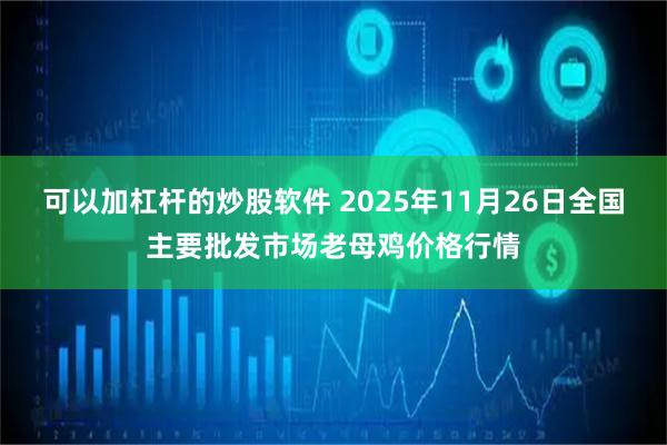 可以加杠杆的炒股软件 2025年11月26日全国主要批发市场老母鸡价格行情